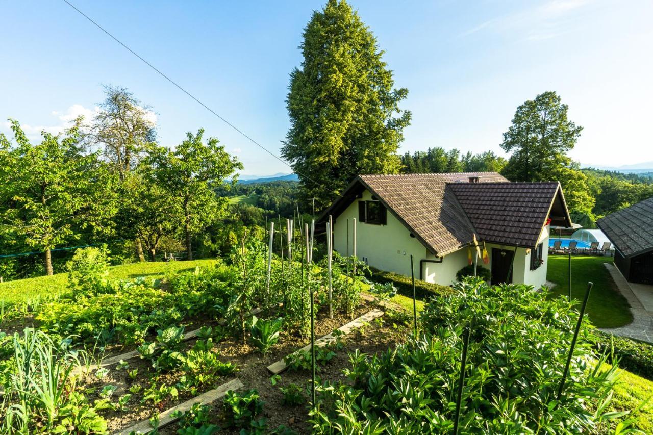 Holiday House In Nature With Pool, Pr Matazic Kamnik Buitenkant foto